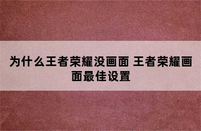 为什么王者荣耀没画面 王者荣耀画面最佳设置